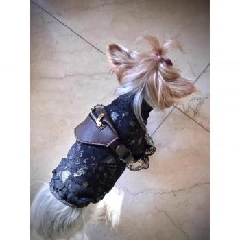 Bandoulière chic en cuir pour petits chiens – YHB07