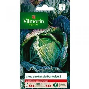 Sachet de Graines Chou de Milan de Pontoise Vilmorin