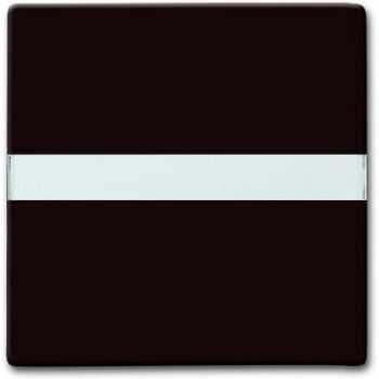 2106 N-31 Cover Plate for Brown Switch