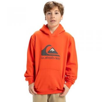 Tigerlily Quiksilver Felpa 16 anni con cappuccio e logo spiccato