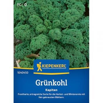 Kiepenkerl Grünkohl 'Kapitan®' F1