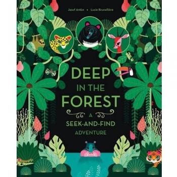 Deep in the Forest : A Seek-And-Find Adventure