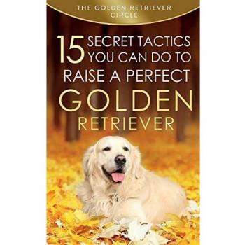 Golden Retriever: 15 Secret Tactics You Can Do To Raise a Perfect Golden Retriever