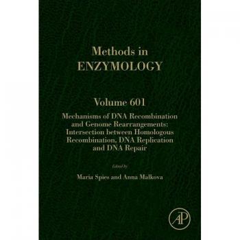 Mechanisms of DNA Recombination and Genome Rearrangements: Intersection Between Homologous Recombination, DNA Replication and DNA Repair: Volume 601