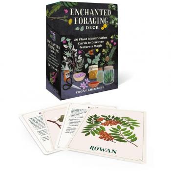 Enchanted Foraging Deck : 50 Plant Identification Cards to Discover Nature's Magic, by Ebony Gheorghe