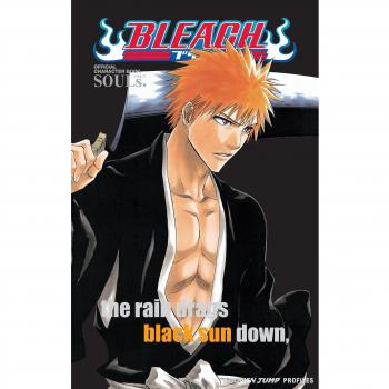 Bleach SOULs. Official Character Book