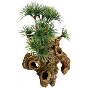 Ponton Bonsai Accent Piece