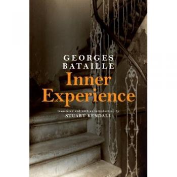 Inner Experience (SUNY series, Intersections: Philosophy and Critical Theory)