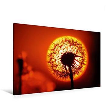 CALVENDO 120 × 80 cm Textil-Leinwand „Dandelion“ – Inconspicuous Beauty