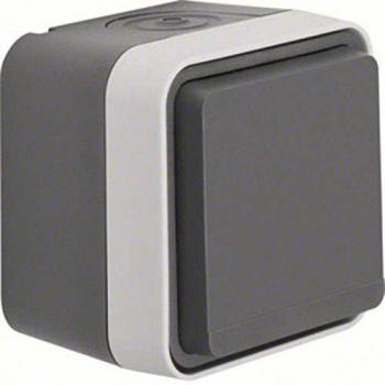 Berker Schutzkontakt-Steckdose W.1 Grau, Lichtgrau 47633505