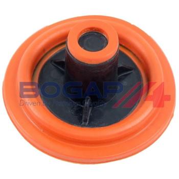 BOGAP C5134118