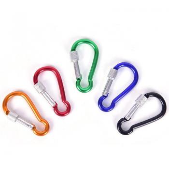 5Pcs Aluminum Climbing Carabiner Keychains