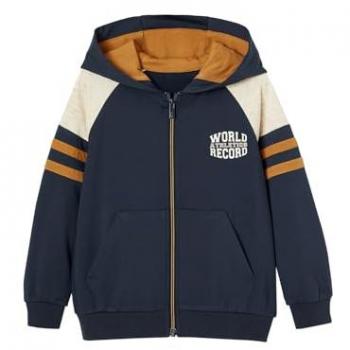 Tenue Gym VERTBAUDET Manches Raglan à Capuche Noix de Pécan