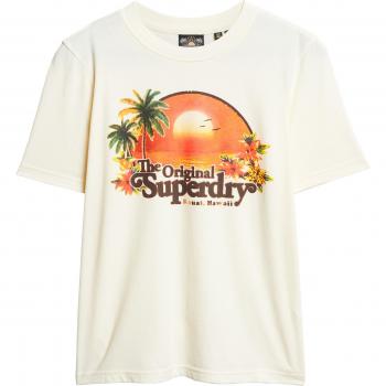 Superdry Travel Souvenir Relaxed Fit T-Shirt for Women
