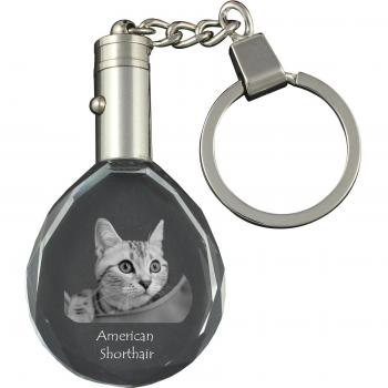 Unique American Shorthair Gift Keychain