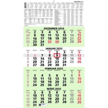Neumann Blue Angel Multi-Month Calendar 2025