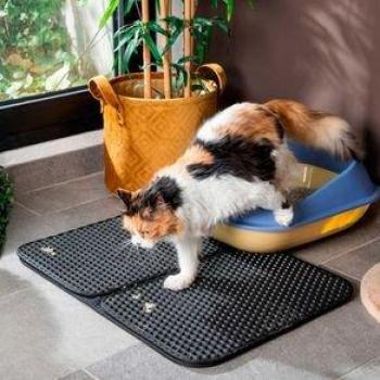 Tapis InnovaGoods Clikatt – Litière pour Chat