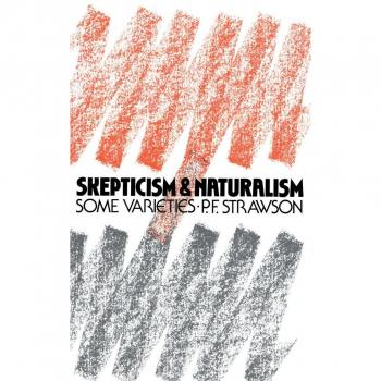 Scepticism and Naturalism