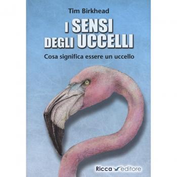i sensi degli uccelli. Cosa significa essere un uccello