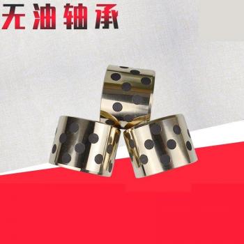 NK304030 Oil-Free Bearing for Forklift Trucks
