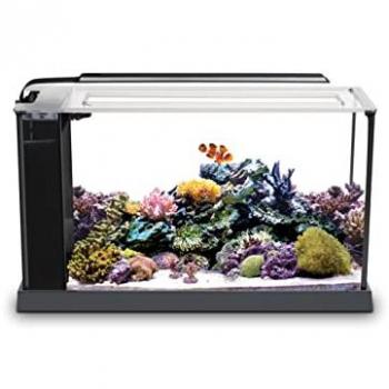 Fluval Acuario Evo 52L