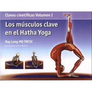 YOGA MUSCULOS CLAVE