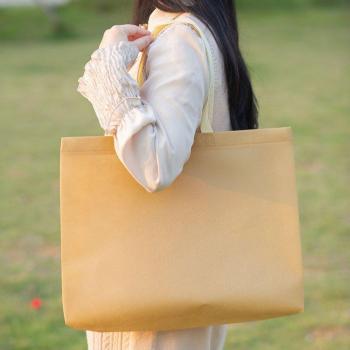 Portable Kitchen Storage Handbag