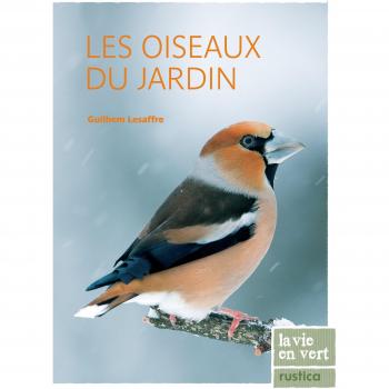 Les oiseaux du jardin