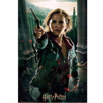 Puzzle 3D Battle Prime3D Harry Potter & Hermione – 300 Pcs