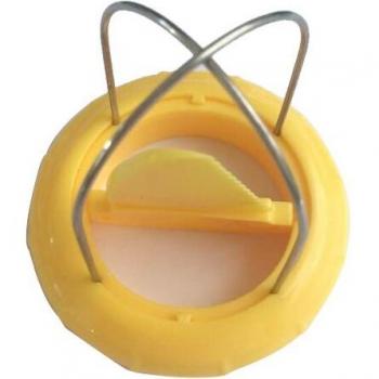 Gadget de cuisine pour éplucher les kiwis