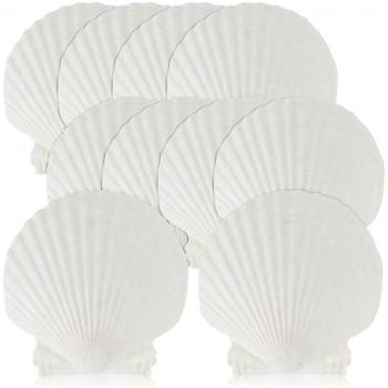 15 Coquilles Blanches pour Décoration et Cuisine