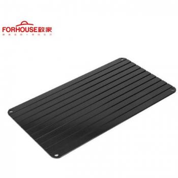 Fast Thawing Tray