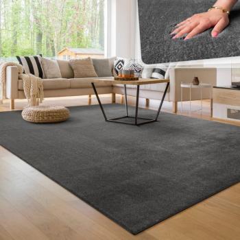 Tapis Salon Chic à Poils Courts