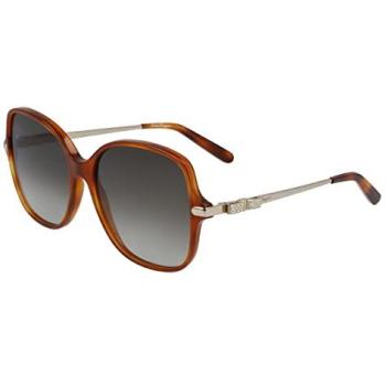 Ferragamo Women SF990SR Acetate Squared Shaded in Havana Grey