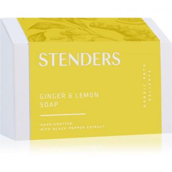 Ginger & Lemon Detergente Solido per Stendere 100 g