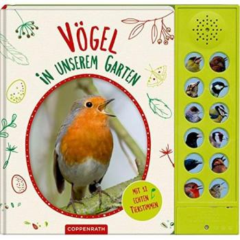 Vögel in unserem Garten