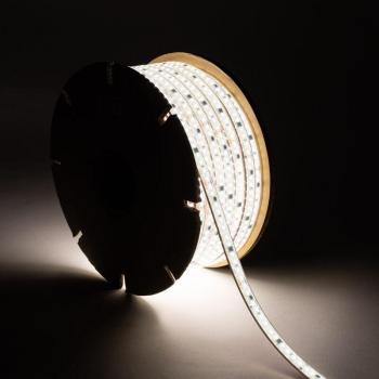 Bobine de Ruban LED 220V Dimmable 50m 12mm IP67