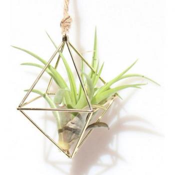 Triangular Iron Flower Pot Rack