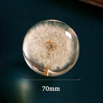 Feng Shui Dandelion Crystal Lens Globe 70mm