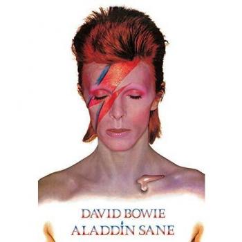 Poster david bowie aladdin sane