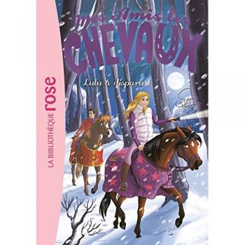 Mes amis les chevaux, Tome 15 : Lulu a disparu !