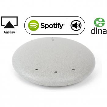 Ricevitore Audio Senza Filo DigiFunk per Spotify e Tidal