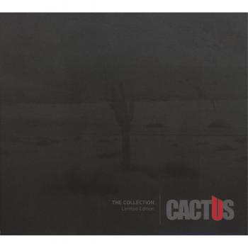The Collection-Limited Edition