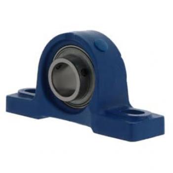 Alloggiamento Plummer Block NTN UCP215 D1 75 mm (Viti di fissaggio)