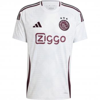 Drittliga-Trikot Ajax Amsterdam 2024/25 – Herren Grey