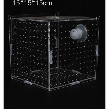 Pépinière maison : boîte incubatrice transparente et grille d'isolation