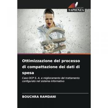 Ramdani, Bouchra: Ottimizzazione del processo di compattazione dei dati di spesa