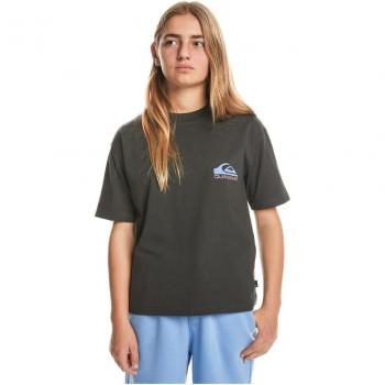 Quiksilver Take Us Back Logo T-Shirt grau für Jungen