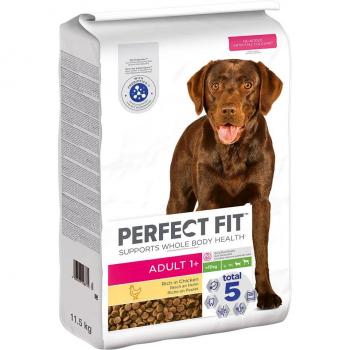 Perfect Fit für Hunde