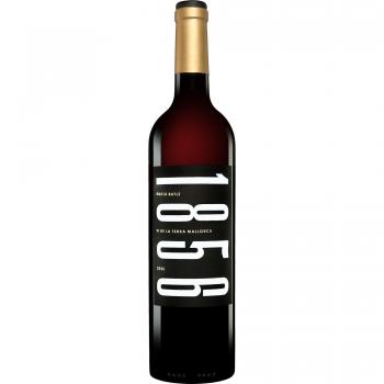 Macià Batle Rotwein 1856 Tinto 2021